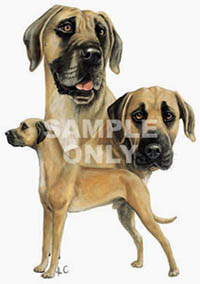 Tygkasse med Grand Danois