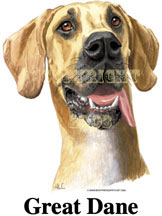 T-shirt med Grand Danois