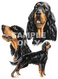 T-shirt med Gordonsetter
