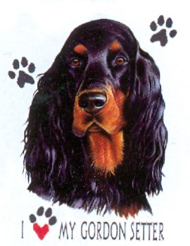T-shirt i barnstorlek med Gordonsetter