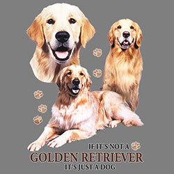 Figursydd t-shirt med Golden Retriever