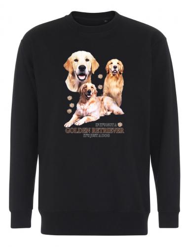Collegetröja med Golden Retriever