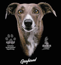 V-ringad t-shirt med Greyhound