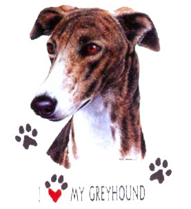 Collegetröja med Greyhound