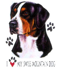 T-shirt med Grosser Schweizer Sennenhund