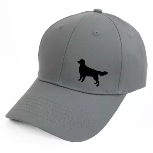 Keps med en Golden Retriever