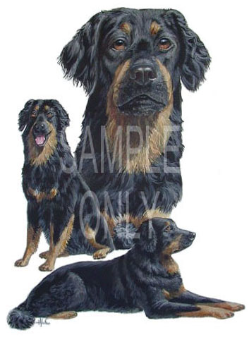 T-shirt i barnstorlek med Hovawart