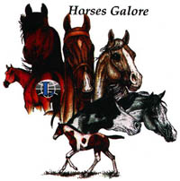 T-shirt med hästmotiv