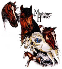 T-shirt med hästmotiv