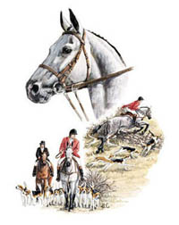 T-shirt med hästmotiv