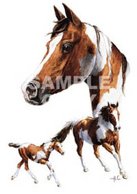 T-shirt med hästmotiv