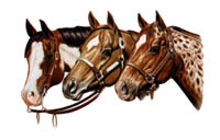 Tygkasse med hästmotiv