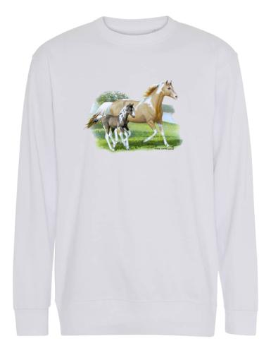 Collegetröja med springande hästar