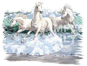 T-shirt med hästmotiv