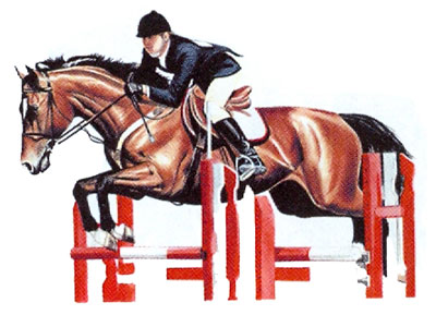 T-shirt med hästmotiv