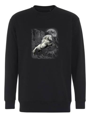 Collegetröja med stegrande vit häst