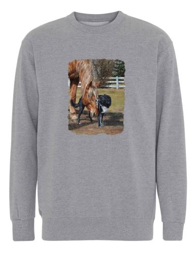 Collegetröja med Häst o Hund