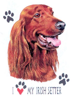 Tygkasse med Irländsk Setter