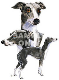 Tygkasse med Italiensk Vinthund