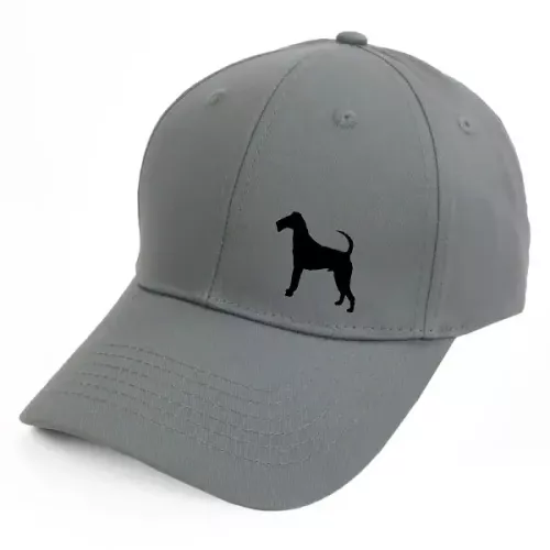 Keps med en Irländsk Terrier