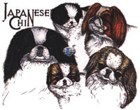 Collegetröja med Japanese Chin