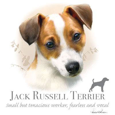 T-shirt med Jack Russel Terrier
