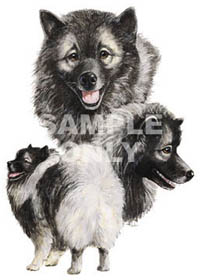 Tygkasse med Keeshond
