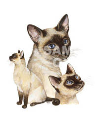 T-shirt i barnstorlek med kattmotiv