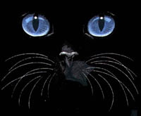 T-shirt med Kattmotiv