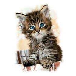 T-shirt i barnstorlek med Kattmotiv