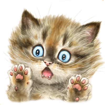 Collegetröja med Kattmotiv