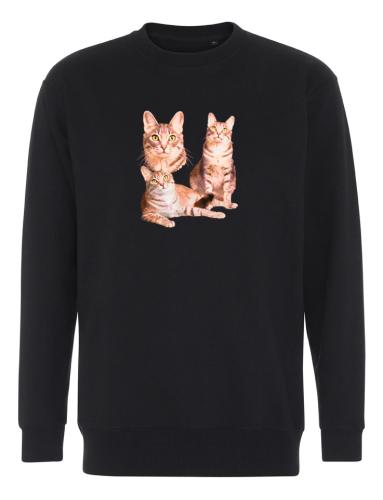 Collegetröja med orange Katt