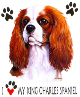 Collegetröja med King Charles Spaniel