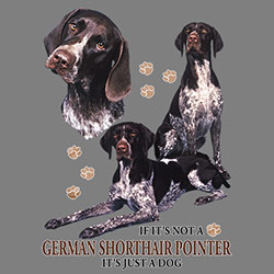 Huvjacka med Korthårig Vorsteh