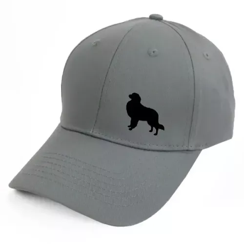 Keps med en Kooikerhondje