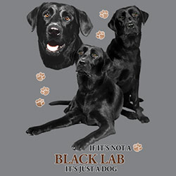 Figursydd t-shirt med Labrador