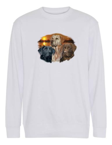 Collegetröja med Labradorer