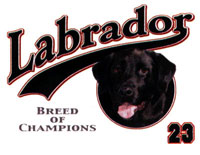 T-shirt med Labrador