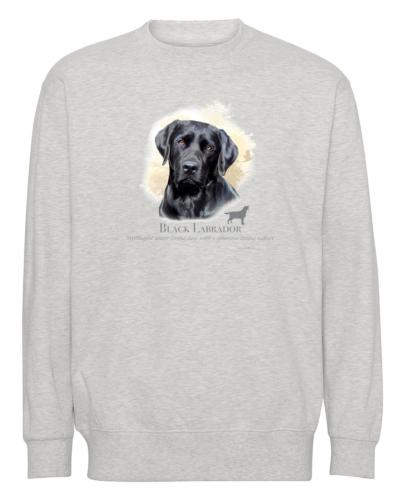 Collegetröja med Labrador
