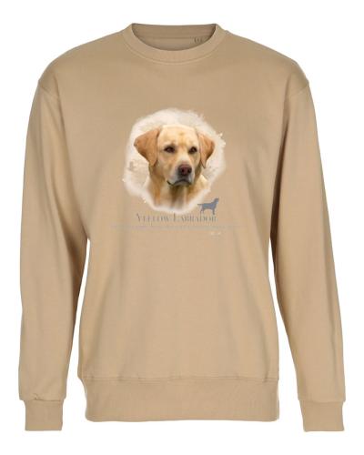 Collegetröja med Labrador