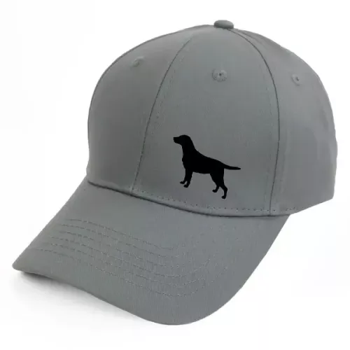 Keps med en Labrador