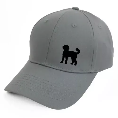 Keps med en Labradoodle