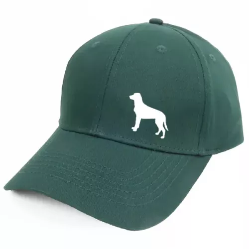 Keps med en Luzernstövare