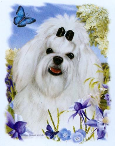 Tygkasse med Malteser