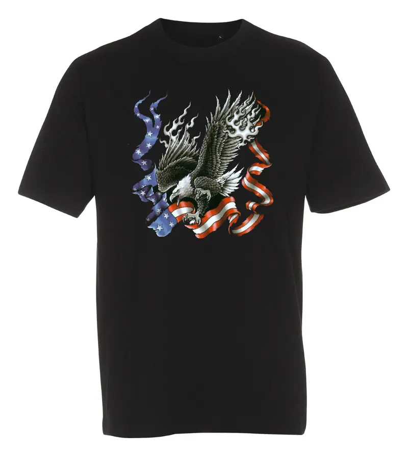 T-shirt  American Eagle