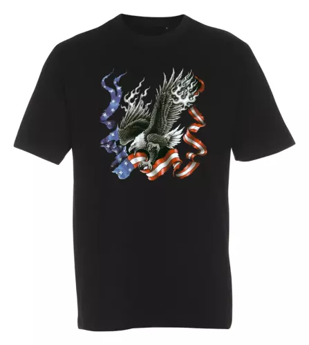 T-shirt  American Eagle