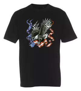 T-shirt  American Eagle