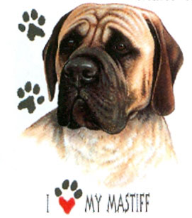T-shirt med Mastiff