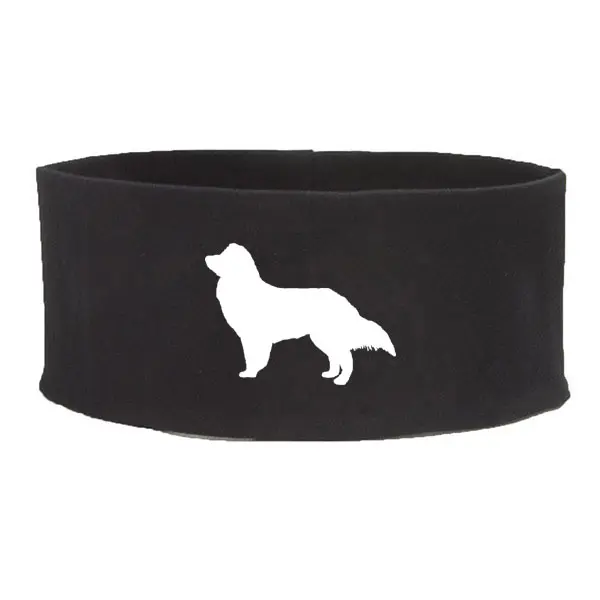 Pannband med Miniature American Shepherd