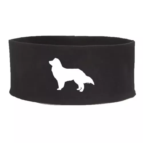 Pannband med Miniature American Shepherd